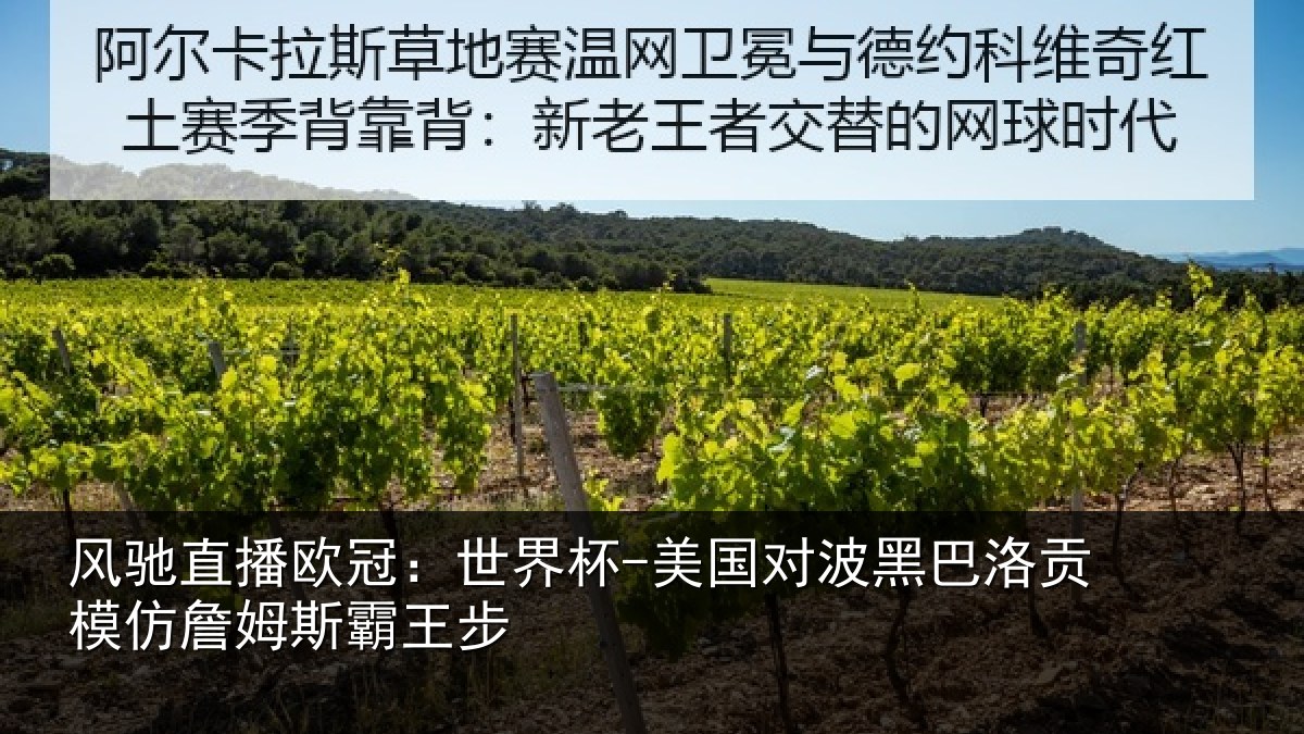 风驰直播欧冠:世界杯-美国对波黑巴洛贡相关情况