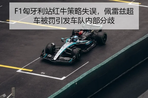 xiong-ya-li-zhan-hong-niu-ce-lve-shi-wu-pei-lei-zi-chao-che-bei-fa-yin-fa-che-dui-nei-bu-fen-qi-3-104.jpg