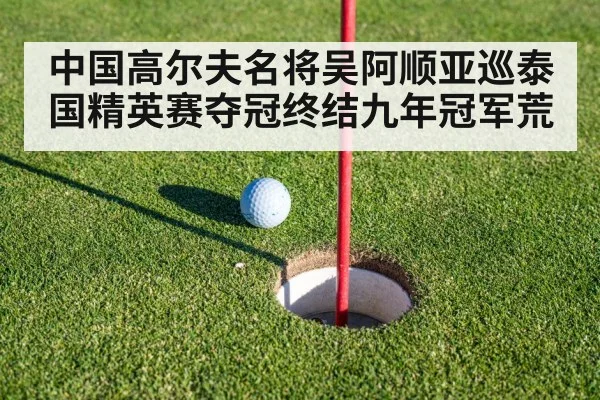 golf putting green close up
